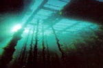 Vista submarina de las cuerdas de cría